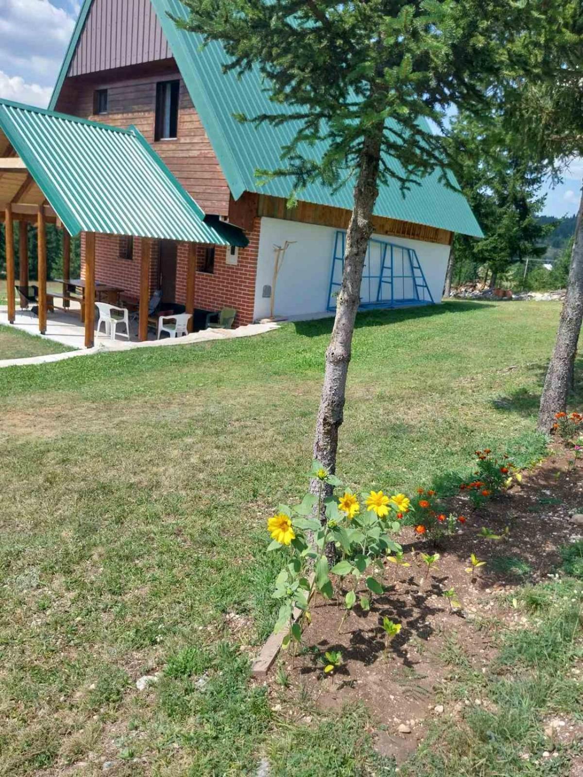 House In Forest Жабляк Екстер'єр фото